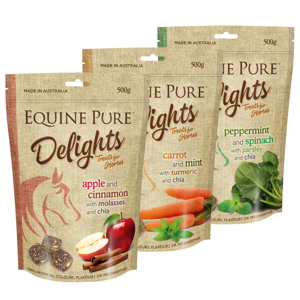 Equine Pure Delights 500G