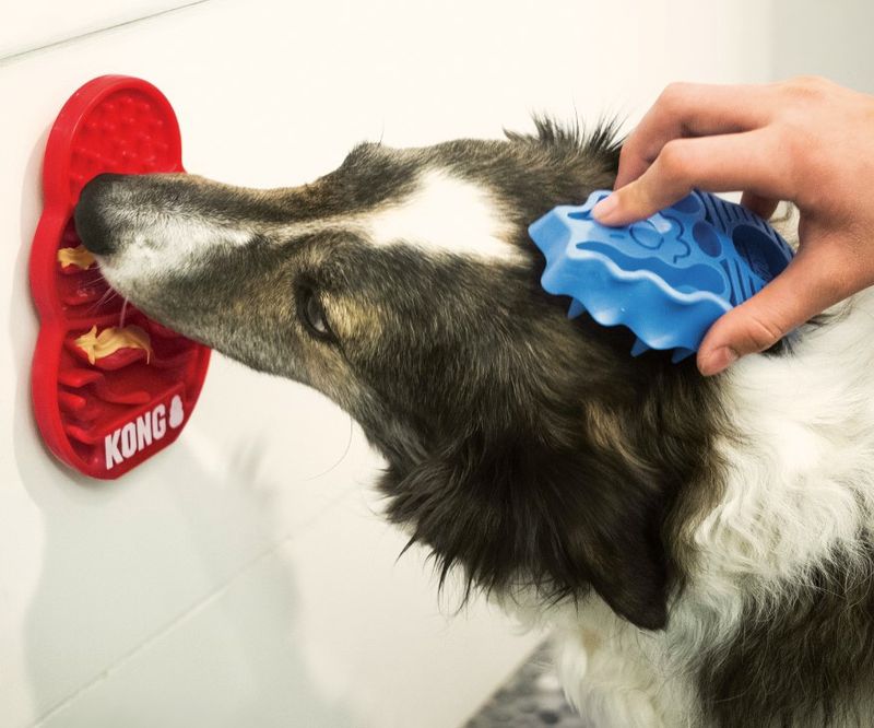 Kong Licks