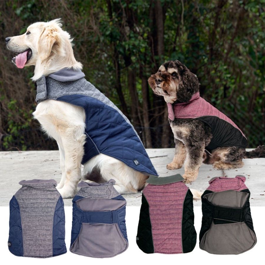 Dog Coat Adventure Walker, Colour: Grey Navy, Size: 60CM