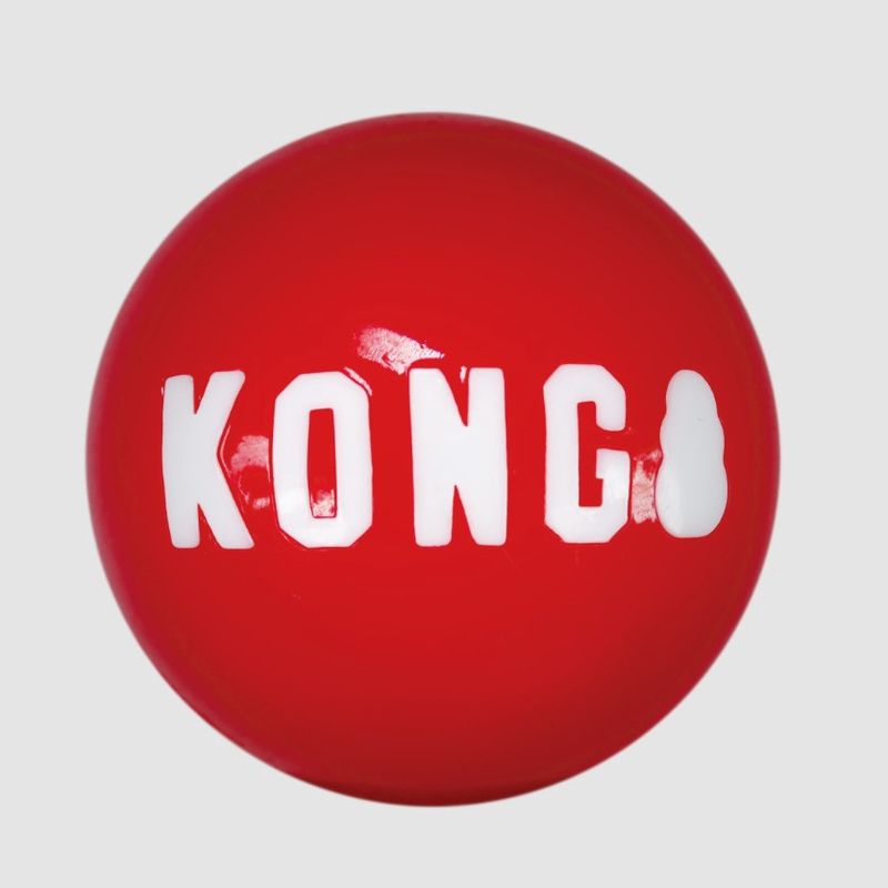 Kong Signature Balls 2-pk