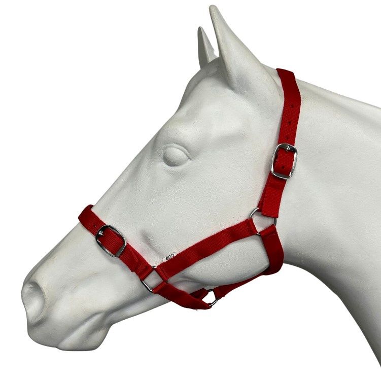 Eureka Essential Halter, Colour: Red, Size: Pony