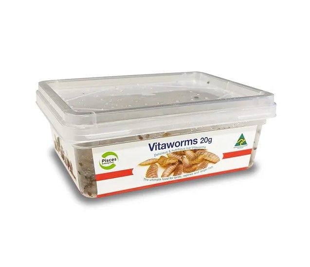 Pisces Live Vitaworms