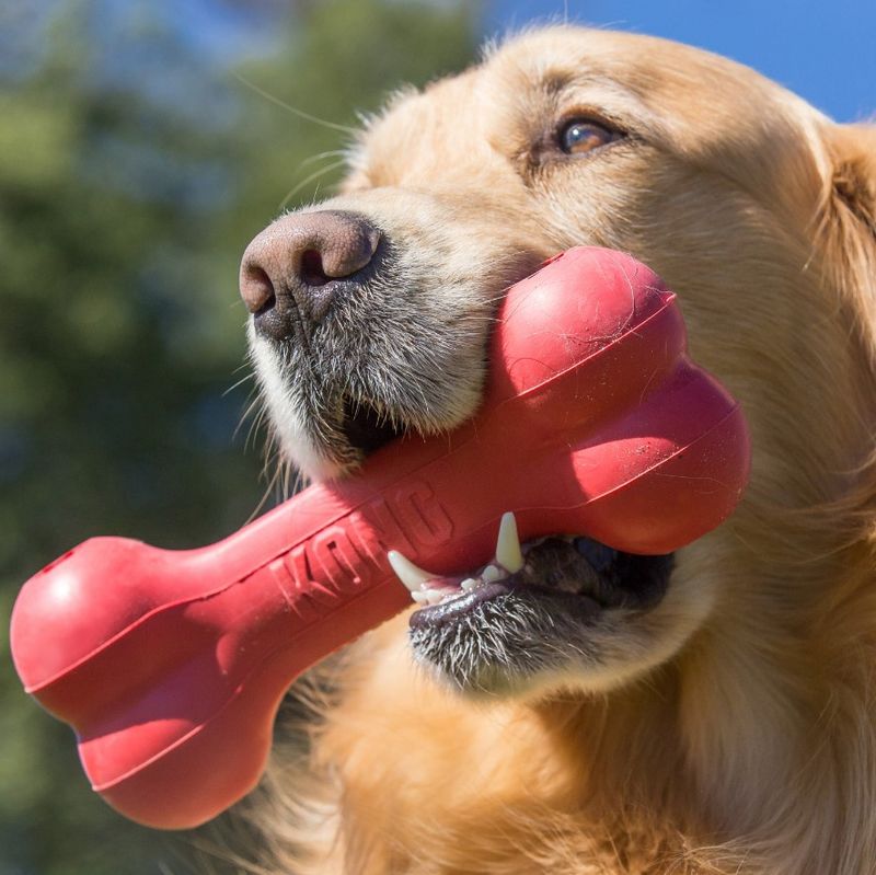 Kong Goodie Bone