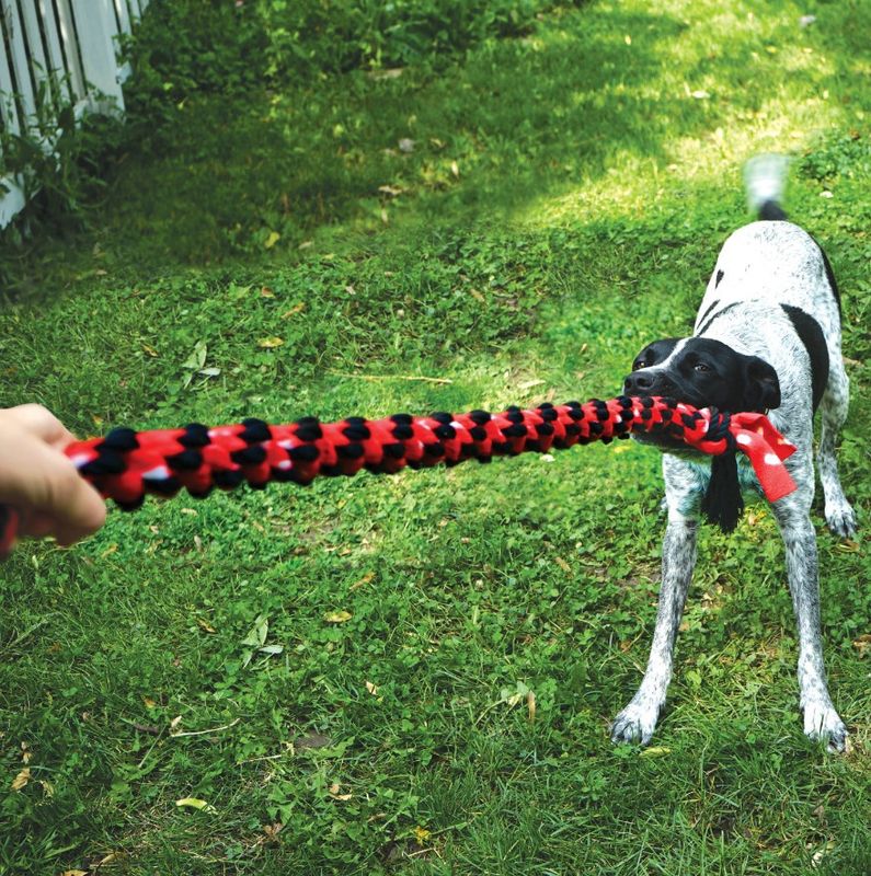 Kong Signature Rope Dual Knot