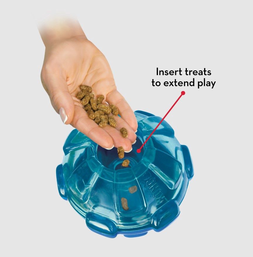 Kong Rewards Ball, Size: Small