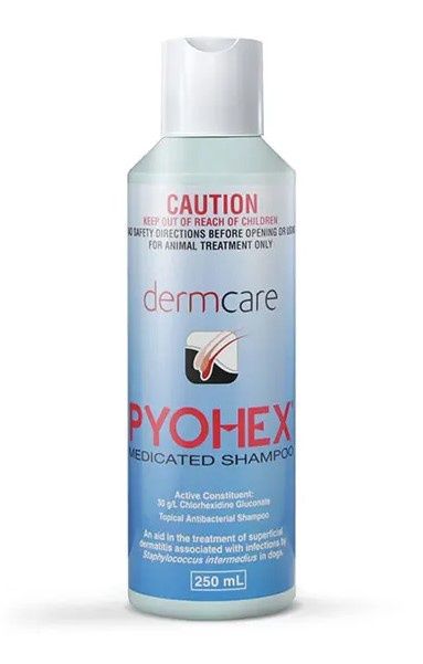 Pyohex Medicated Shampoo, Size: 250ml