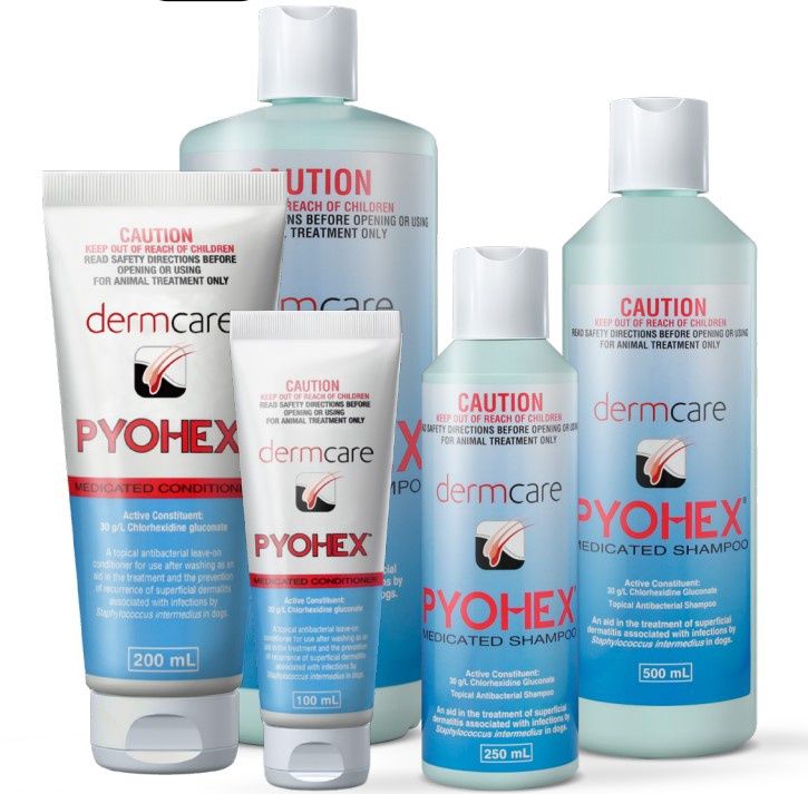 Pyohex Medicated Shampoo