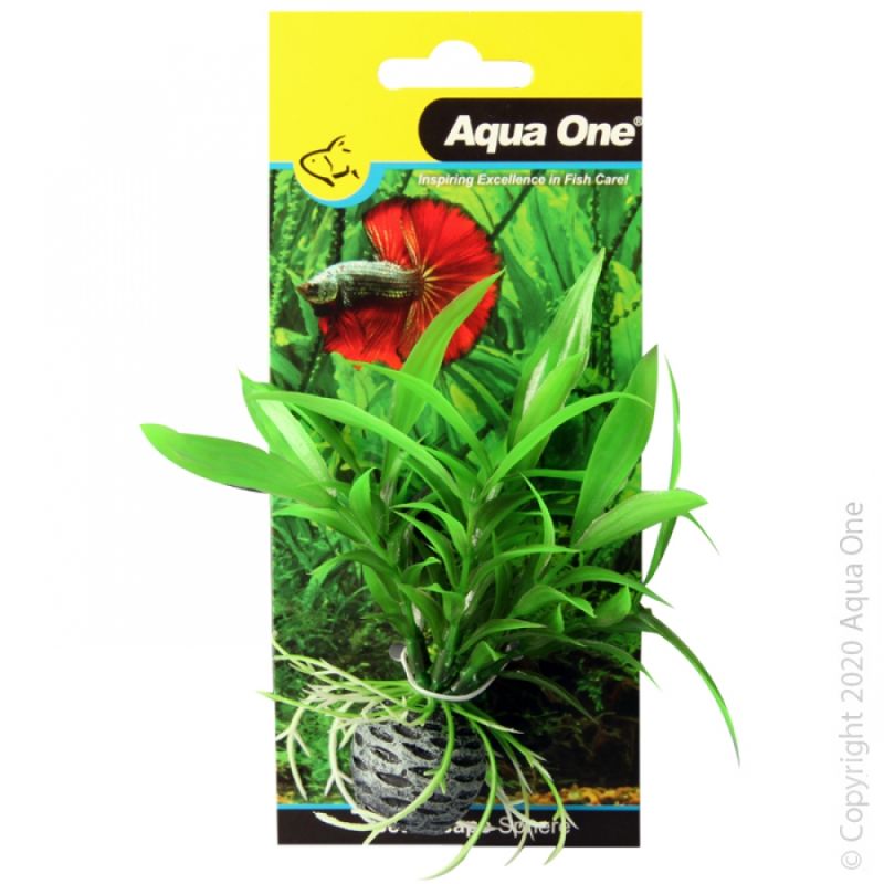 Bettascape Sunreacher Lily On Sphere Green