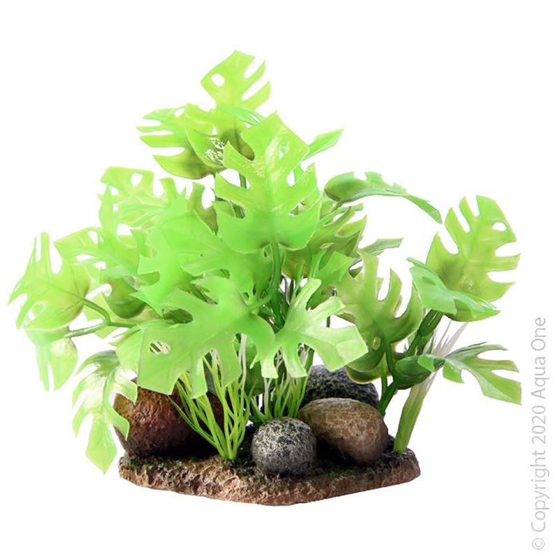 Bettascape Monsteras Rock Garden Green