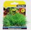 Ecoscape Foreground Hair Grass 4pk