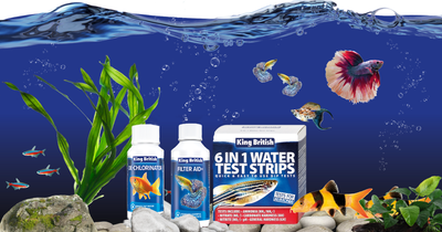 Water Treatments and Medications