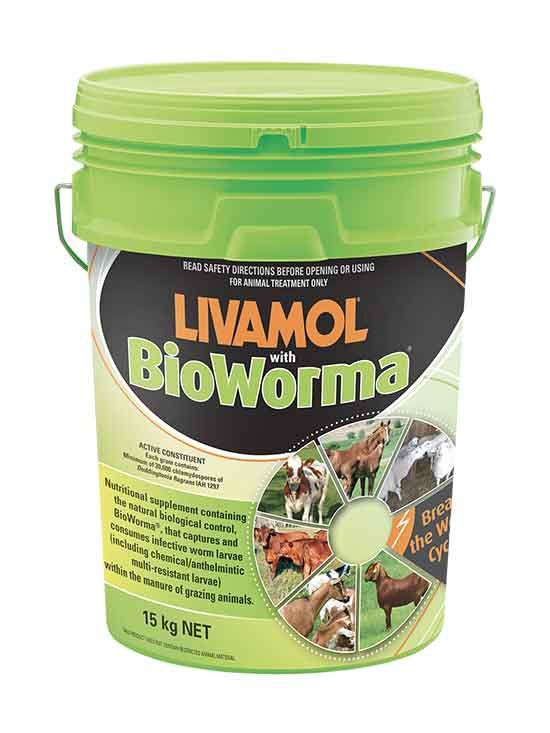 Livamol with BioWorma