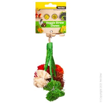 Veggie Straw Chew Broccoli Hanging