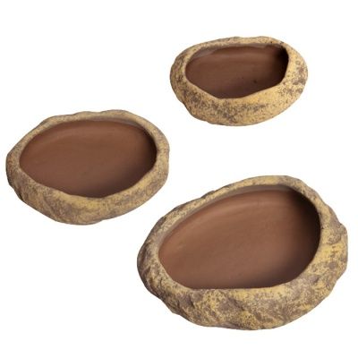 Reptile Dish Sandstone