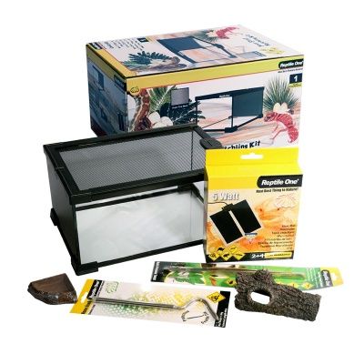 Your First Hatchling Kit