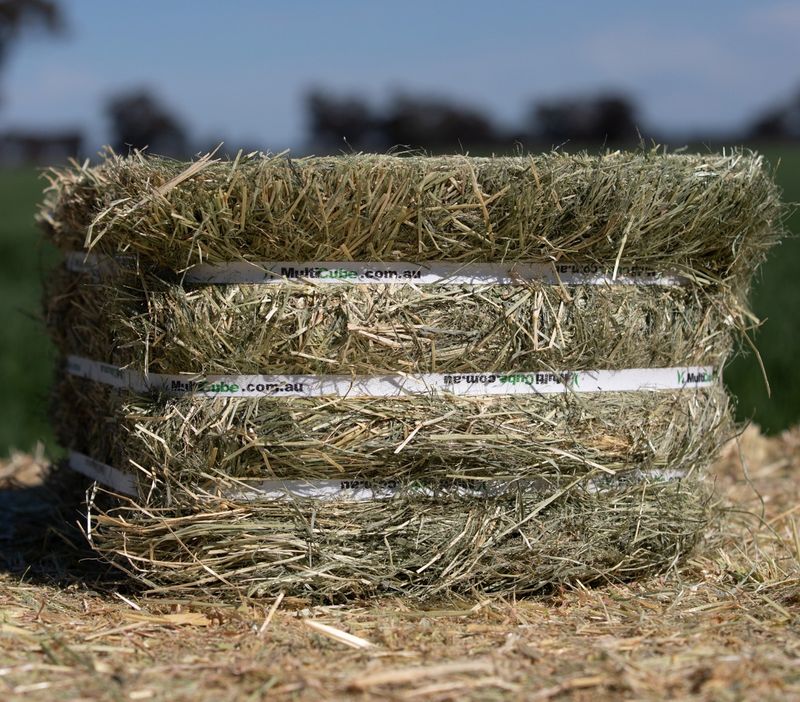 Compressed Teff Grass