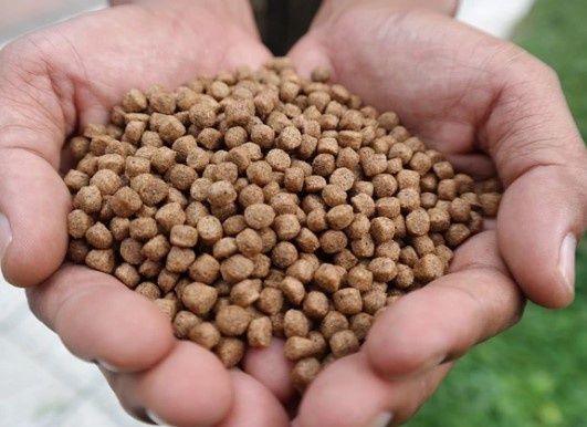Native Fish Food 10kg