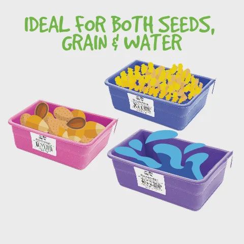 Bainbridge Bird Feeder Plastic Rectangle Cup, Size: Medium 17cm