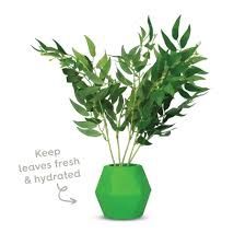 Stick Insect Branch Jar