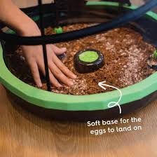 Insect Bed Base
