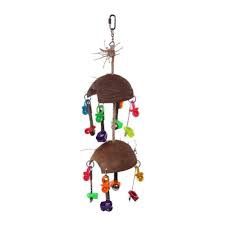 Split Coconut with Toys and Spoons