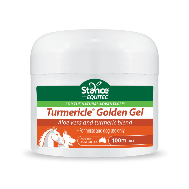 Turmericle Golden Gel 200ml