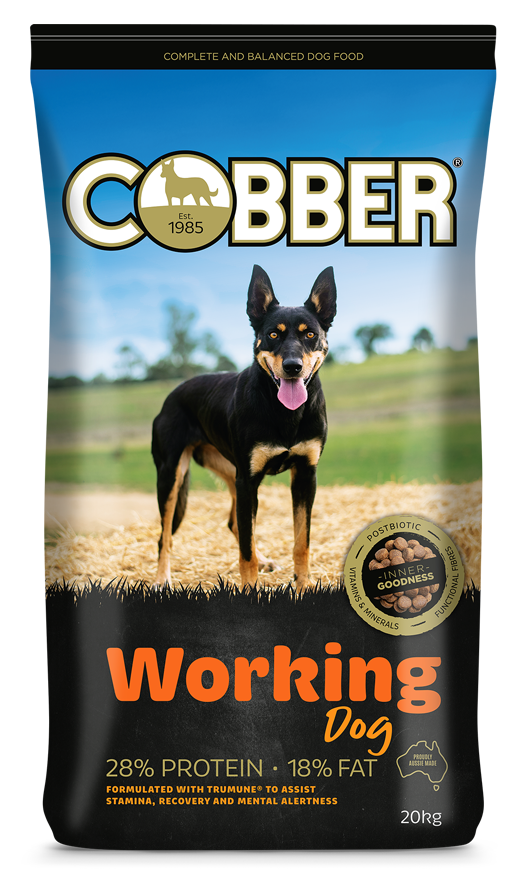 Cobber Working Dog 20kg