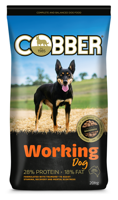 Cobber Working Dog 20kg