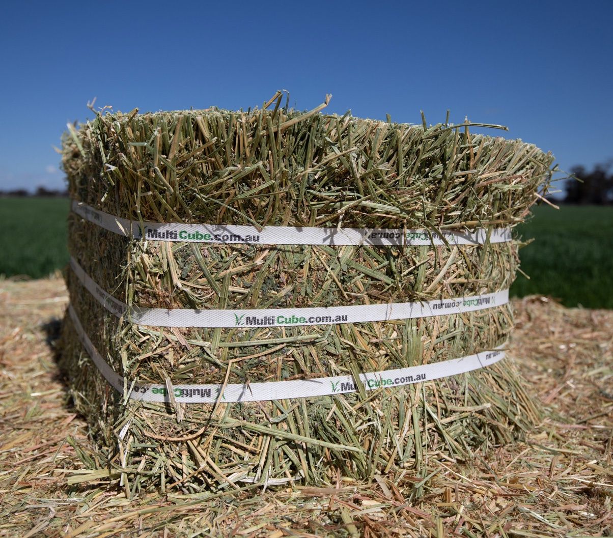 Compressed Lucerne Hay