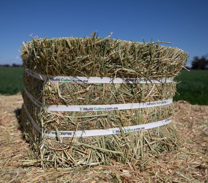 Compressed Lucerne Hay