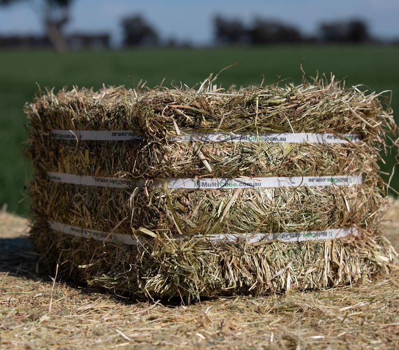 Compressed Pasture Hay Rye &amp; Clover