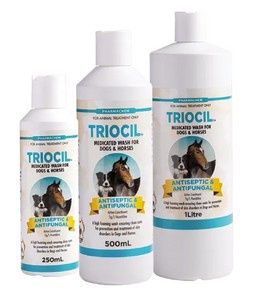 Pharmachem Triocil Antiseptic &amp; Fungicidal, Size: 250mL