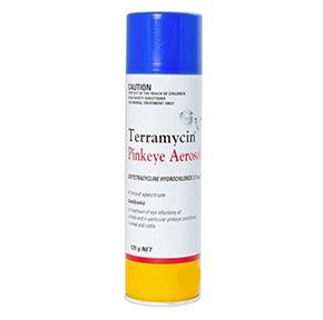 Zoetis Terramycin Pinkeye Aero 125g