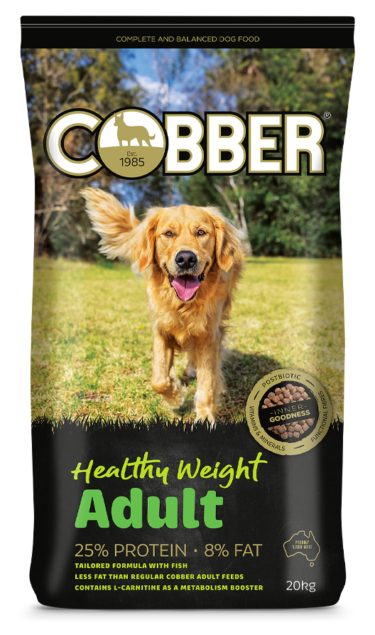 Cobber Adult Healthy Weight 20kg