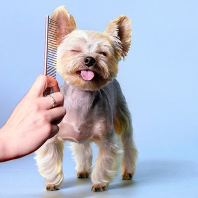 Combs