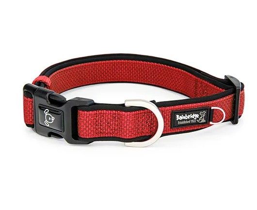 Premium Sport Dog Collar with Neoprene