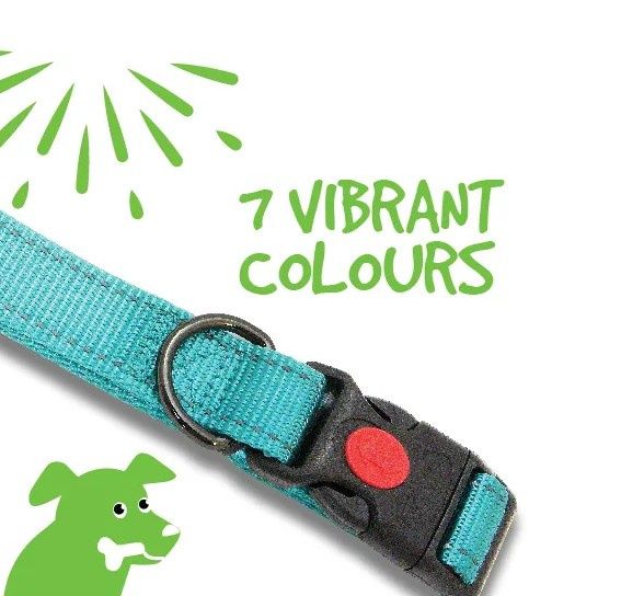 Adjustable Webbed Collar with Reflective Strips