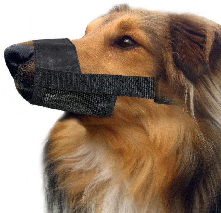Adjustable Nylon Muzzle, Style: Large
