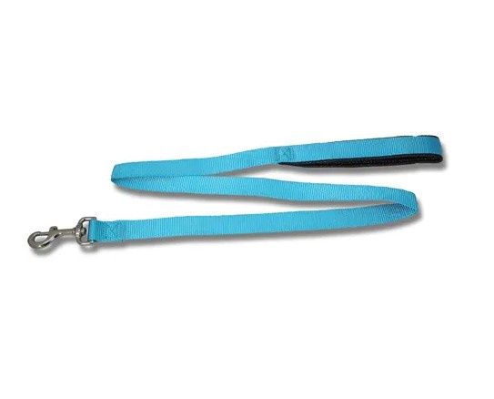 Padded Webbed Dog Lead, Colour: Aqua