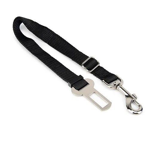 Car Safety Lead