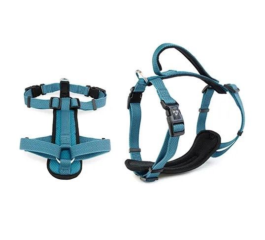 Premium Sports Dog Harness, Size: X Small, Colour: Blue