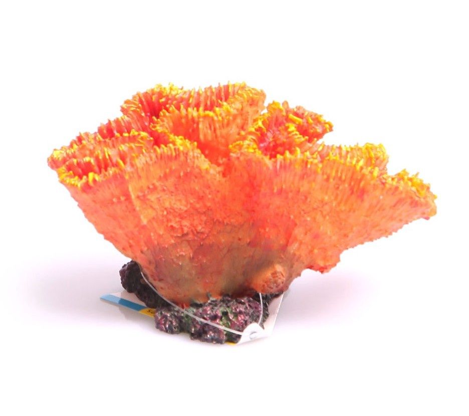 Euphyllia Orange Ornament