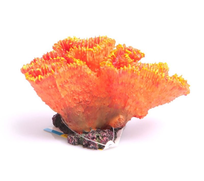 Euphyllia Orange Ornament