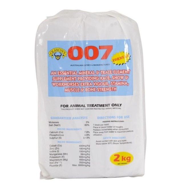 Olsson Horse Block 007, Size: 2kg
