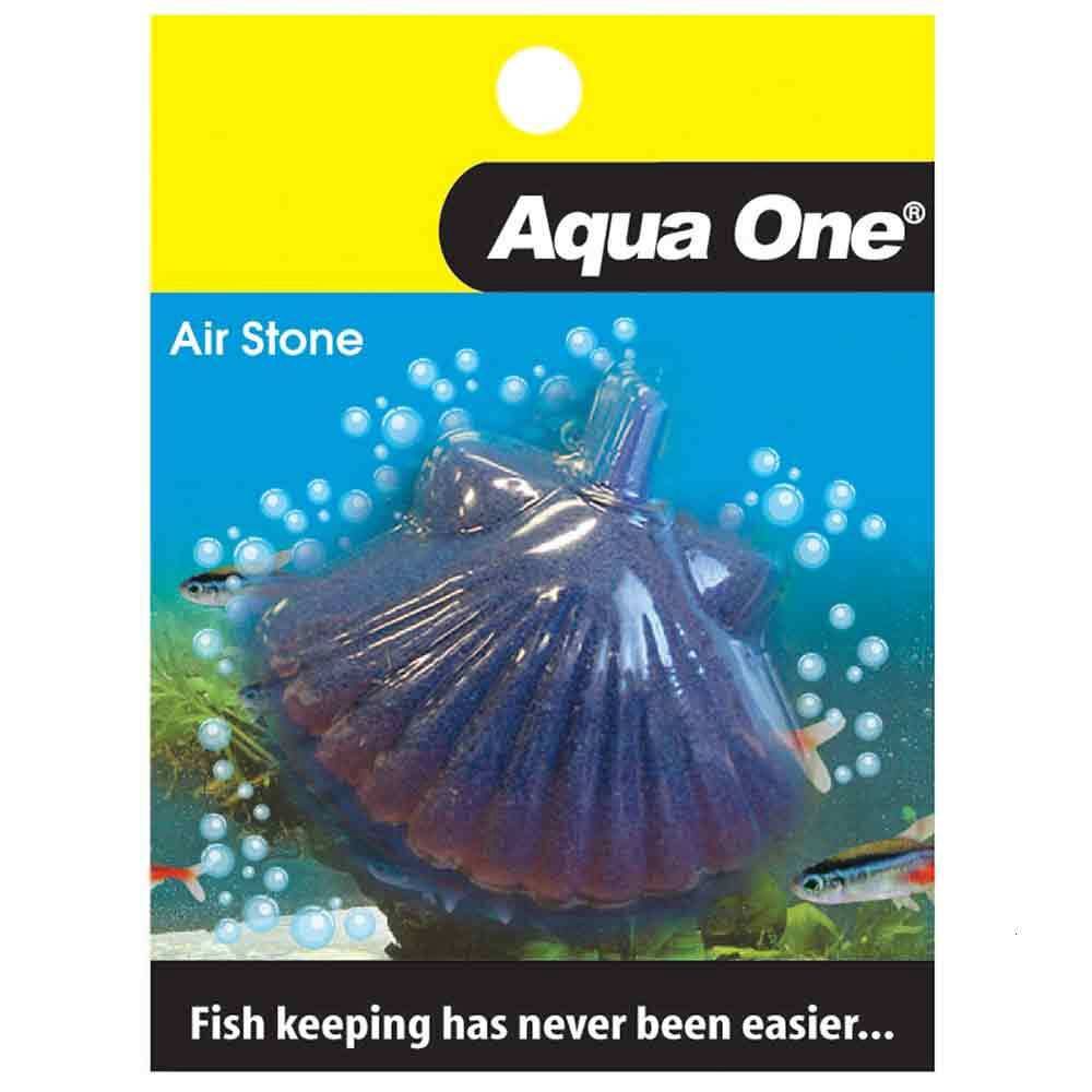 Shell Airstone, Size: 5 x 3.5cm