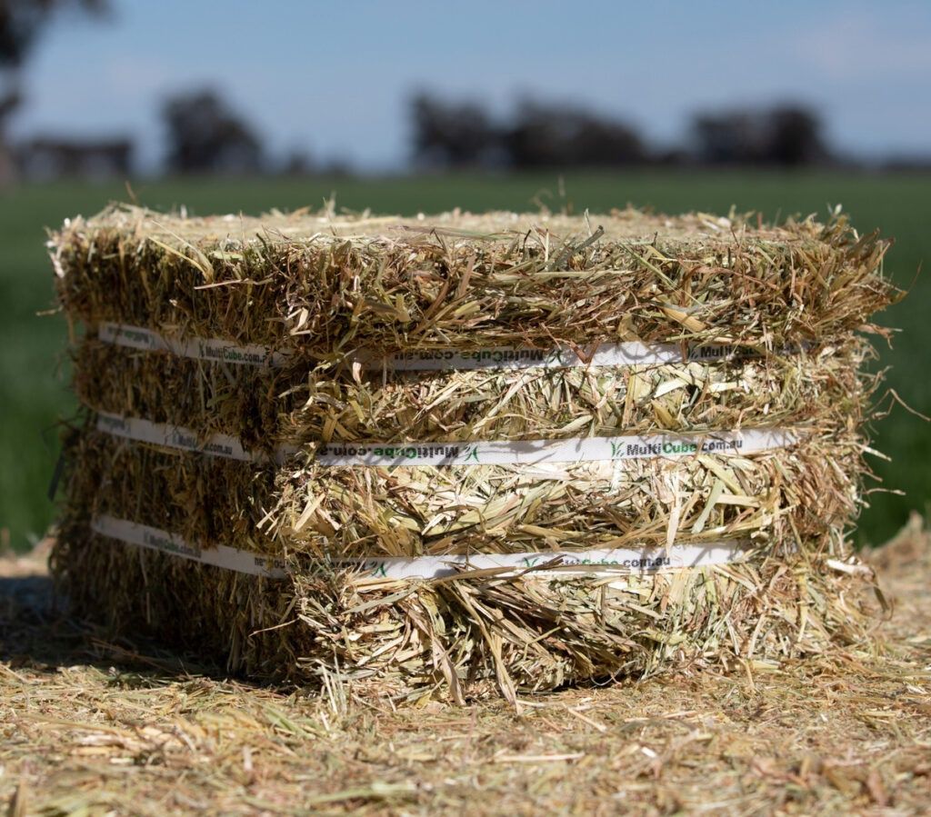 Compressed Oaten Hay