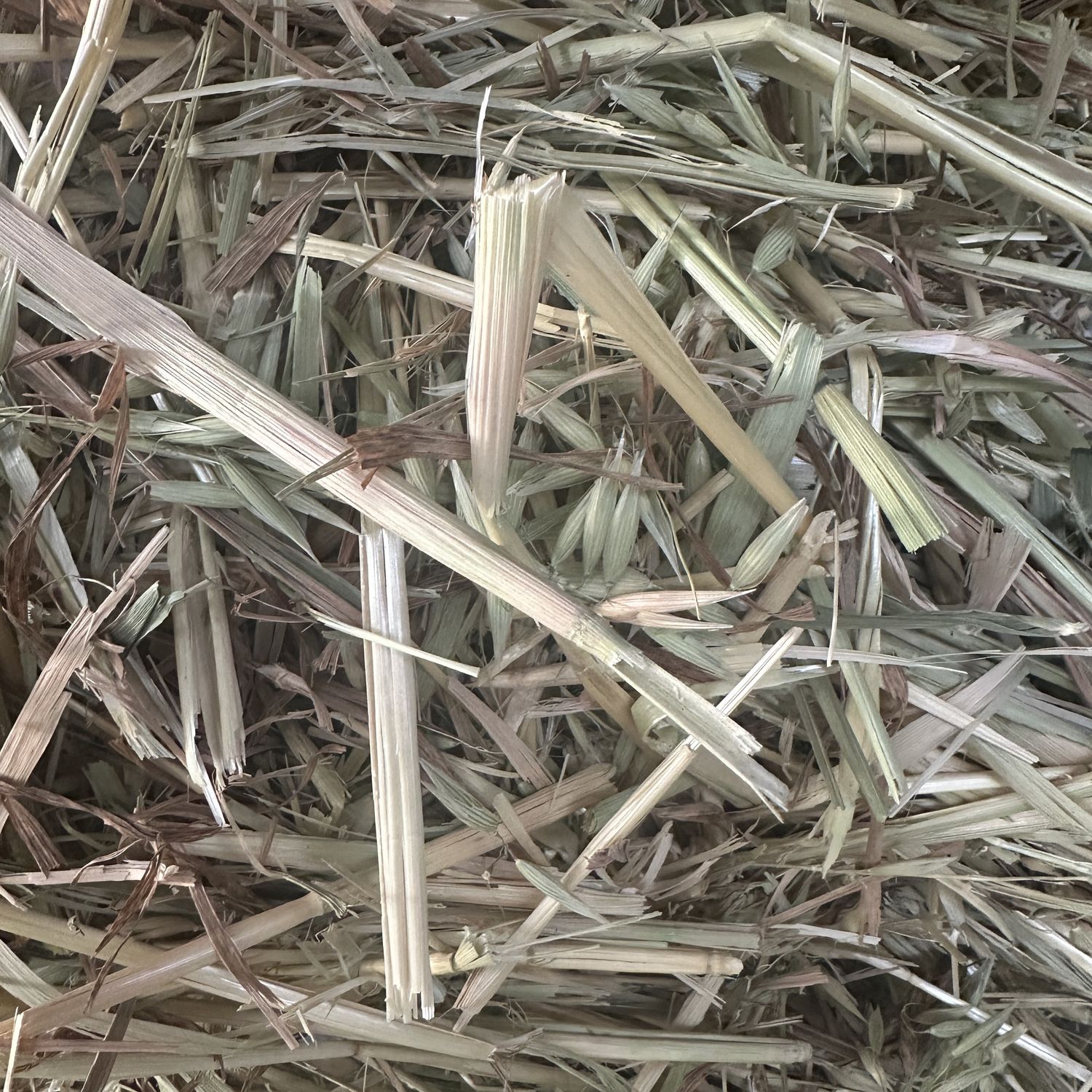 Oaten Hay