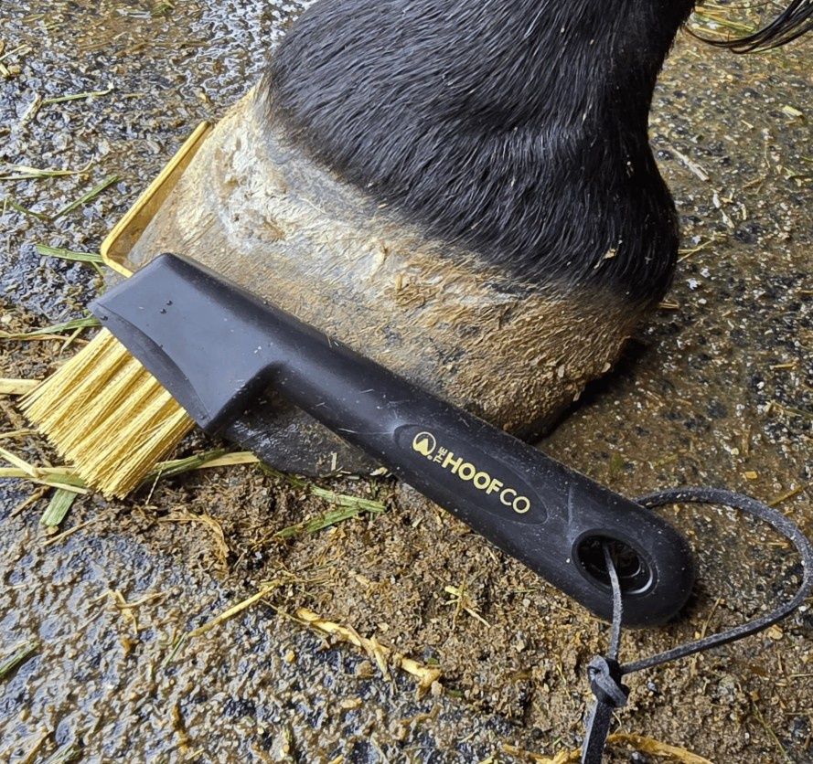 Hoof Pick with Golden Wire Bristles