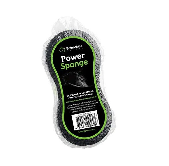 Power Sponge