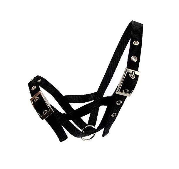 Webbing Calf Halter